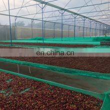 Coffee Beans thumbnail-3