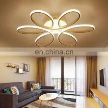 LED Modern Ceiling Light Living Room Ceiling Light LED Pendant Lighting For Home thumbnail-4