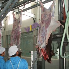 Best Price Cattle Slaughter House Beef Processing Line For Butchery Equipment
