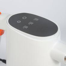 Instant-heating Steam Cleaner thumbnail-2