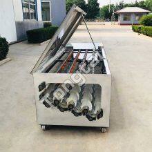 China Made Automatic Radish Washing Machine thumbnail-5