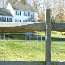 Best Selling Stainless Steel Welded Wire Mesh Hot Dipped Electro Galvanized Welded Wire Mesh Pvc Coated Welded Wire Mesh thumbnail-5