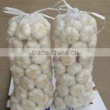 Pure White Garlic thumbnail-1