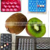 Good Quality PP Packaging Container Plastic Disposable Frozen Food Tray thumbnail-3