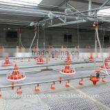 Poultry Feeders and Drinkers FOR Chicken With Good Price