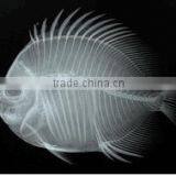 Agfa Dry Film/led Light Film/thermal Imaging Digital Film Dry Film Printer thumbnail-3