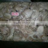 Frozen Octopus Fish thumbnail-1