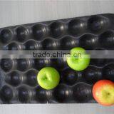 Customized Different Sizes Divided Blister Food Trays