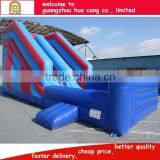 Professional Supplier Giant Inflatable Slide, Commercial Outdoor Inflatable Slide thumbnail-5