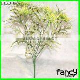 5 Heads Spider Daisy Flower