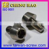 Taiwan OEM Hex Socket Big Head Screw