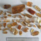 Colombian Amber (Copal) - Polished With Insects thumbnail-2