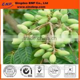 BNP Chromadex Standard Olive Leaf Extract 10%-20% Hydroxytyrosol and Oleuropein
