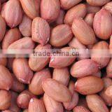 Sweet Delicious Raw Redskin Peanuts for Roasting thumbnail-4
