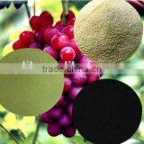 Soluble Seaweed Extract Powder Flake Plant Growth Regulator