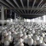 Aluminum Alloy Planting Frame thumbnail-3