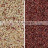 Stable Quality Electronic CCD Red Rice Color Sorter Machine thumbnail-4