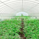 Tunnel Plastic Greenhouse Film Agriculture Greenhouse Poly Films thumbnail-2