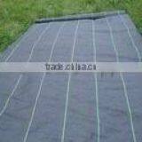 Black pp Woven Fabric as Ground Cover thumbnail-1