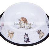 Carbon Steel With Powder Coated Food/Water Serving Cat Feed Pet Bowl thumbnail-3