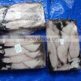 Squid Loligo thumbnail-2