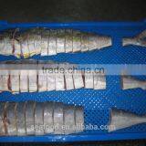 Frozen Mahi Mahi Portion Frozen Foods thumbnail-1