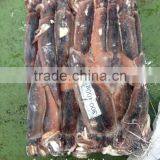 Delicious Squid of Illex Squid thumbnail-1