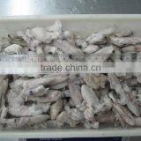 Grade A IQF Baby Squid Loligo Japonica thumbnail-1