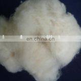 Pure Cashmere Fibre Light Grey/med Shade 16.0-16.5mic thumbnail-3