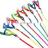 Color Pet Dog Leash Soft Walking Harness Lead Colorful and Durable Traction Rope Nylon 120cm Length thumbnail-4