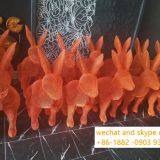 Iron Dragonfly Sculpture Decoration For Decoration Customized Artwork thumbnail-4