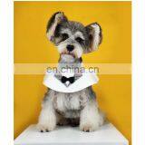 Pet Dog Luxury Cloak Solid Pet Clothing Bib Accessories Lovely Style Popular Logo Famous Brand thumbnail-5