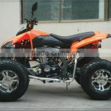 250cc ALL TERRAIN VEHICLE MANUAL CLUTCH WITH REVERSE EEC