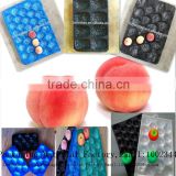 manufacturer hot sale fruit and vegetable PP packaging tray