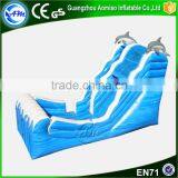New Design Cheap Adult Size Water Slides,inflatable Shark Slide Supplier's Choice thumbnail-5