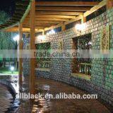 Best Portable Christmas Laser Led Show Garden Lanscape Projector thumbnail-5