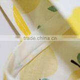 Girl Short Sleeve Dress Toddler Summer Dress Apple Printed Kids Jumper thumbnail-6