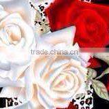 3d Printed Bed Cover thumbnail-5