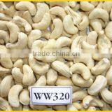 Vietnam Cashew Nut for Exporting thumbnail-3