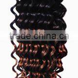 Top Quality Factory Price Hand Tied Two Tone Brazilian Hair Weft