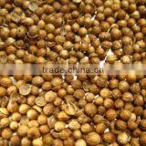 Coriander Whole & Powder thumbnail-2