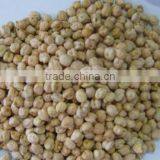 Chickpeas thumbnail-3