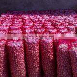 Red Onion ( Fresh ) Available Throughout the Year thumbnail-6