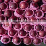 Red Delicious Apple thumbnail-1