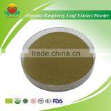 High Quality Organic Raspberry Leaf Extract Powder thumbnail-1