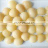 High Quality Canned Pear Havles in Light Syrup thumbnail-2