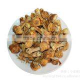 Matsutake Mushroom thumbnail-5