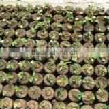 SLT200 High Quality Seed Nutrition Block Machine//0086-15838061756 thumbnail-1