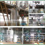 Automatic Palm Oil Extraction Machine | Cooking Oil Making Machine From Palm Fruit to Refined Palm Oil