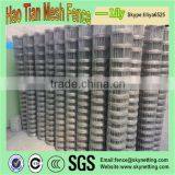 Haotian Cattle Fence Grassland Fence Wire Mesh / Fence for Grassland